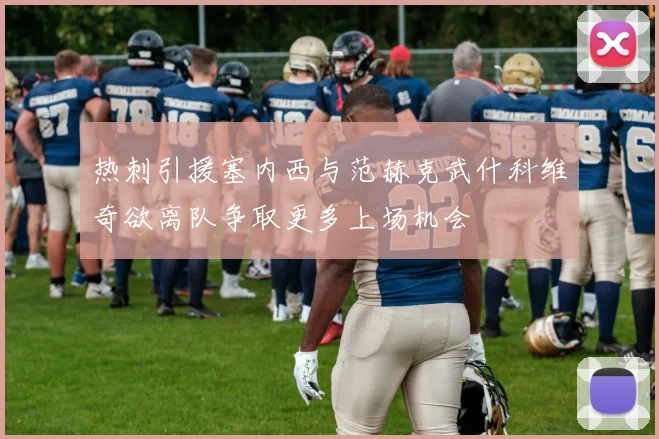 热刺引援塞内西与范赫克武什科维奇欲离队争取更多上场机会