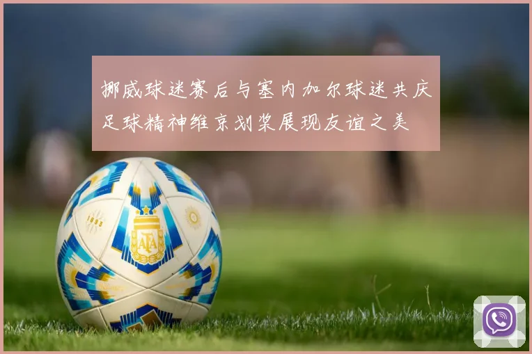 挪威球迷赛后与塞内加尔球迷共庆足球精神维京划桨展现友谊之美